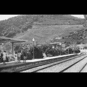 Meet your Posher, Lucas